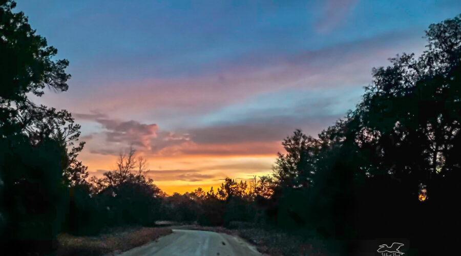 The last sunset of 2022 turned out to be very colorful with pinks, oranges, and yellows against a lovely blue sky.