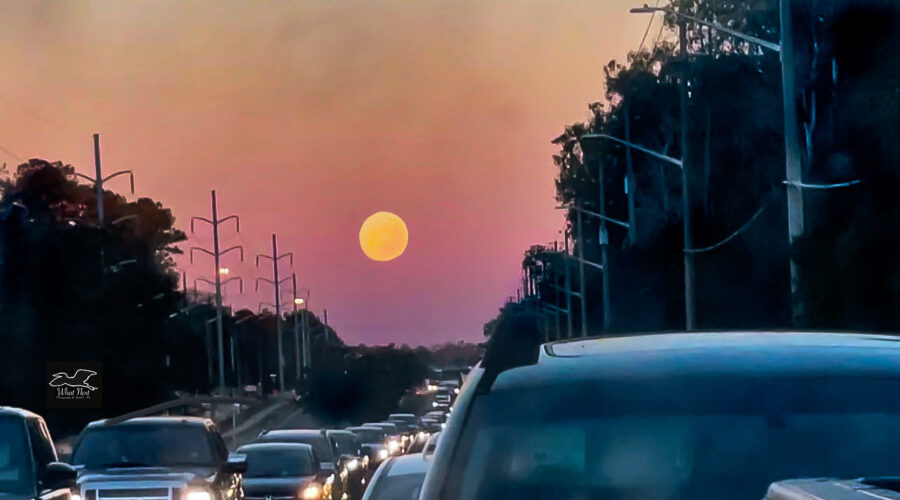 The first full moon of 2023 looms large on the eastern horizon over traffic heading home.
