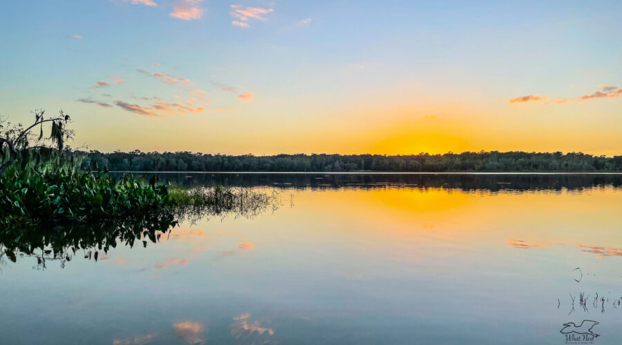 The still water of the lake reflects the beginnings of a sunset on a December afternoon.