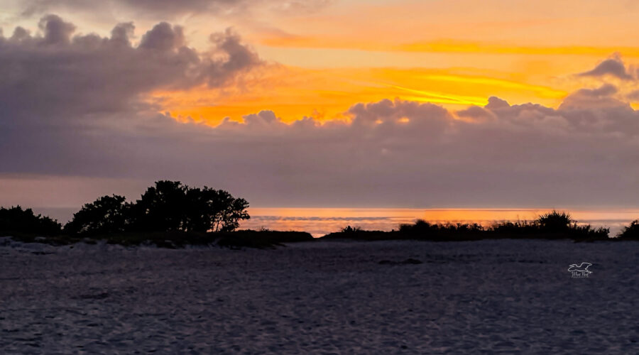 Sunset at the beach, with all it’s oranges and yellows reflecting off the water, is always gorgeous.