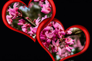 Intertwining hearts filled with flowers wish everyone a Happy Valentines Day.