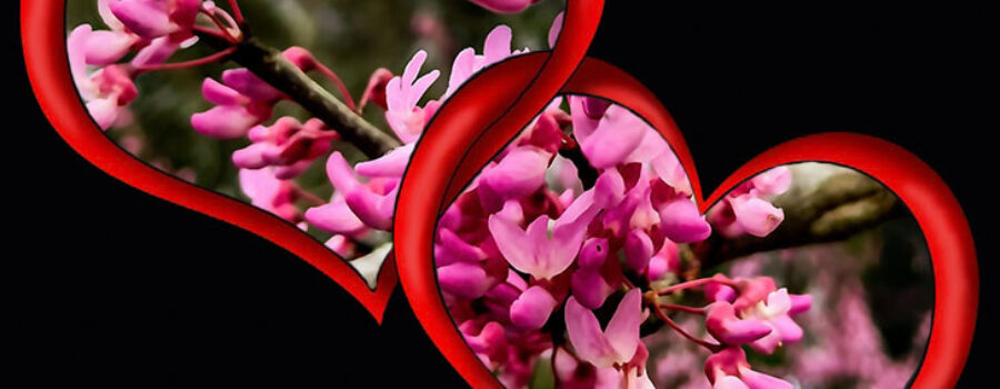 Intertwining hearts filled with flowers wish everyone a Happy Valentines Day.