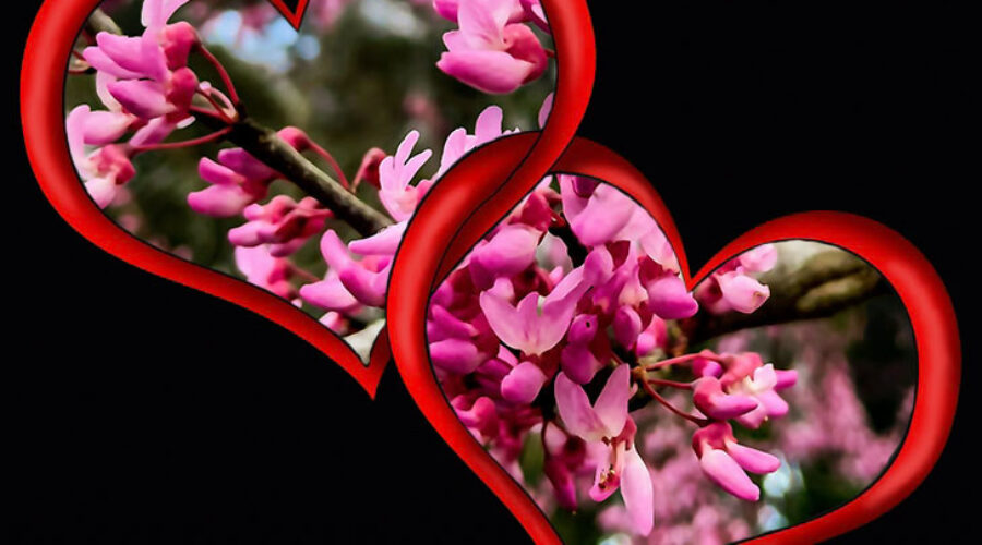 Intertwining hearts filled with flowers wish everyone a Happy Valentines Day.