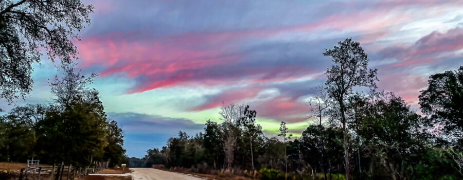 Even though sunrise in the woods is often hard to see, the colorful clouds often aren’t.