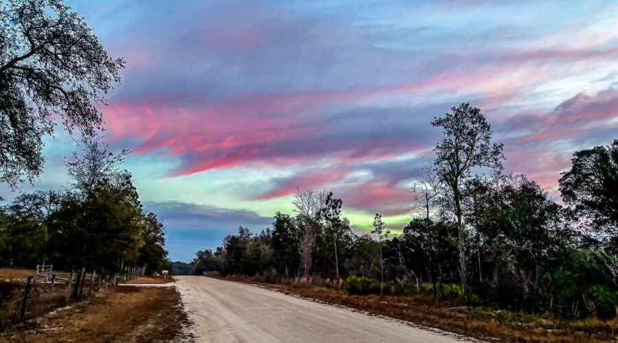 Even though sunrise in the woods is often hard to see, the colorful clouds often aren’t.