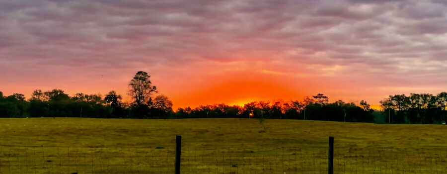 The morning sun, peeking over the horizon, has an eerie color that looks like the sky is on fire.