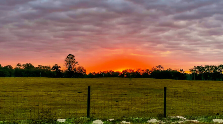 The morning sun, peeking over the horizon, has an eerie color that looks like the sky is on fire.