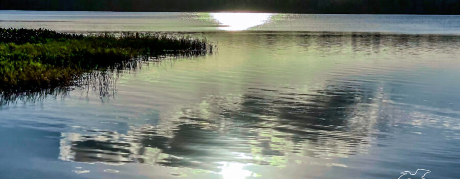 The bright, late afternoon sun causes reflections and a slight rainbow effect on a large lake.