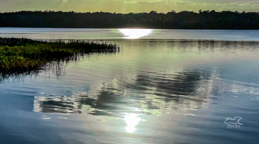 The bright, late afternoon sun causes reflections and a slight rainbow effect on a large lake.