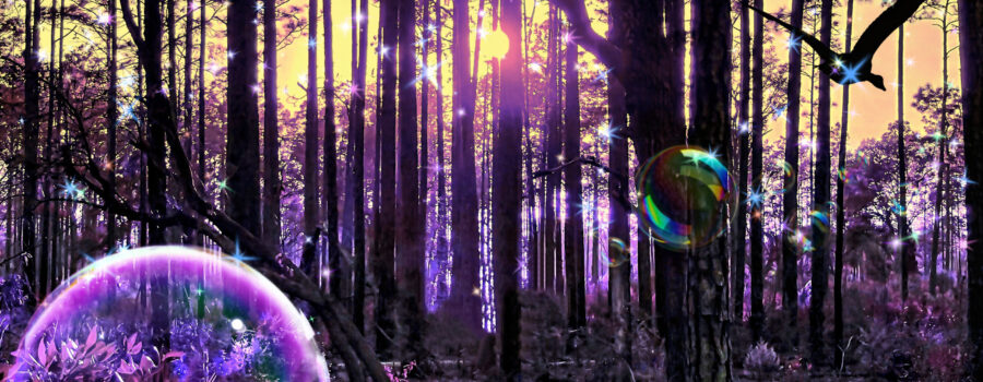 This dreamy image pictures a forest in a purple, dreamy state.