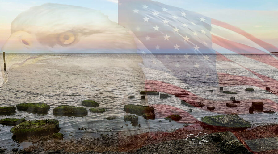 An all American beach overlaid by an American flag and a bald eagle is a photo created just for Memorial Day 2023.
