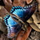 The Beautiful Red Spotted Purple is a Copycat