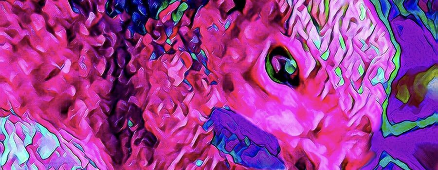 An Eastern grey squirrel has been painted using shades of pink, purple, and blue.