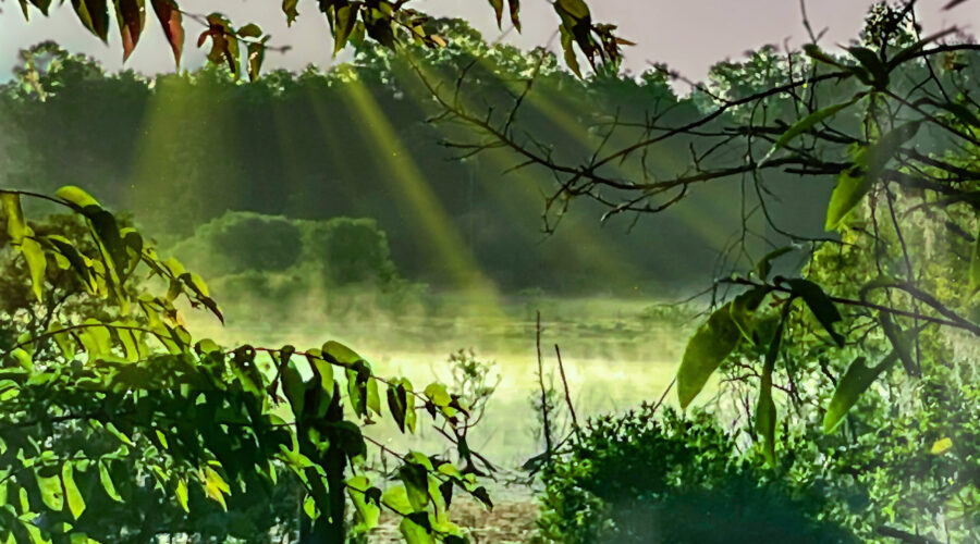 The view across a small swamp at daybreak can be quite stunning.