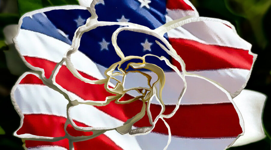 A gardenia flower underlaid with an American flag is a pretty way to celebrate Independence Day.