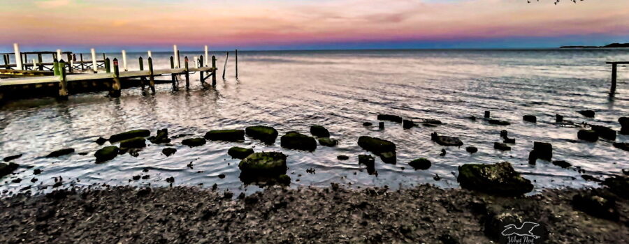 A late afternoon moon begins to rise as the sun is setting in beautiful Cedar Key, Florida.