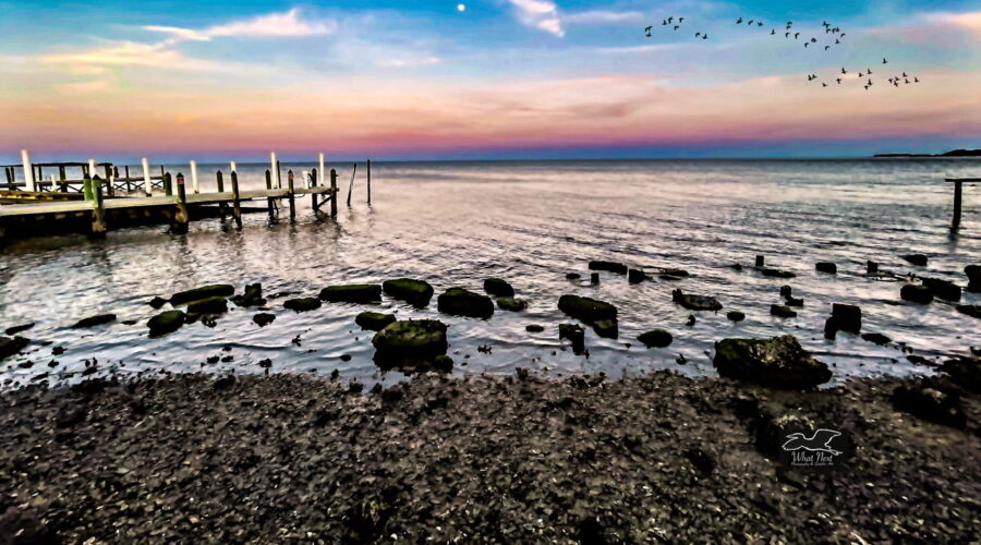 A late afternoon moon begins to rise as the sun is setting in beautiful Cedar Key, Florida.