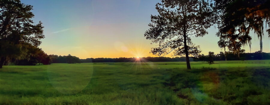 The sun rises over a large grassy field in central Florida.