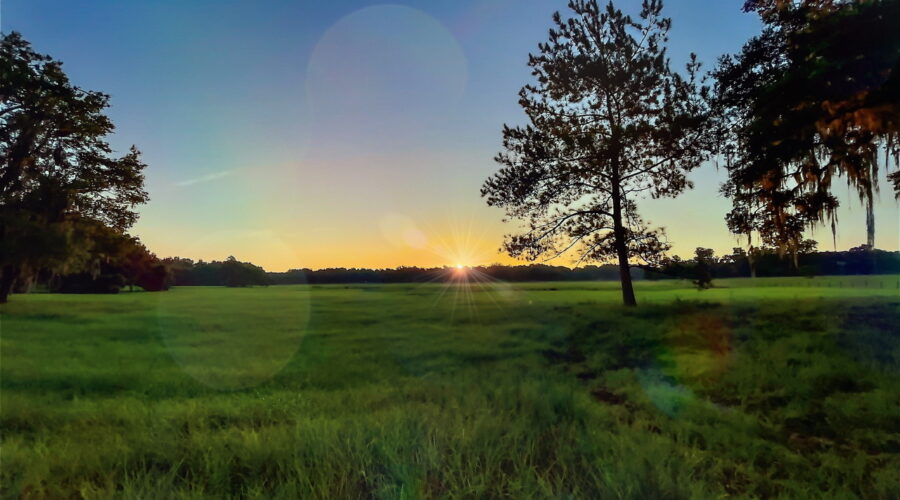 The sun rises over a large grassy field in central Florida.