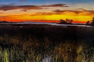 Sunset, with its colorful sky can be especially pretty when looking out to the sea across a salt marsh.