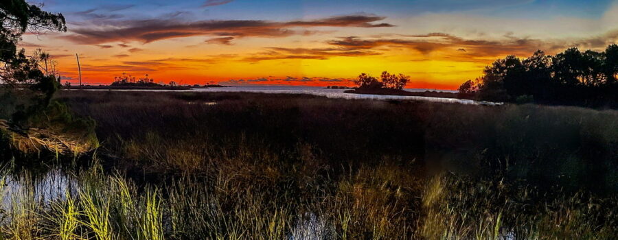 Sunset, with its colorful sky can be especially pretty when looking out to the sea across a salt marsh.
