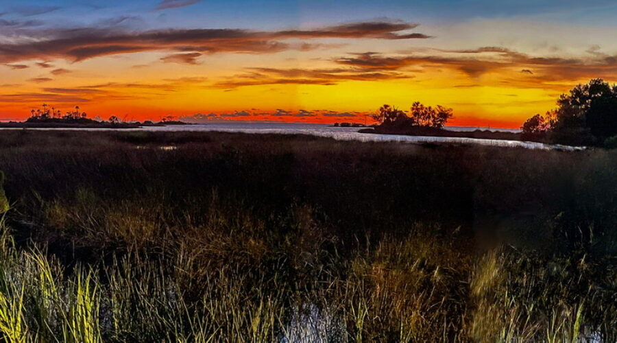 Sunset, with its colorful sky can be especially pretty when looking out to the sea across a salt marsh.