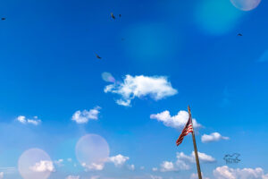 A flag flaps in the wind while birds use it higher in the sky to soar along.