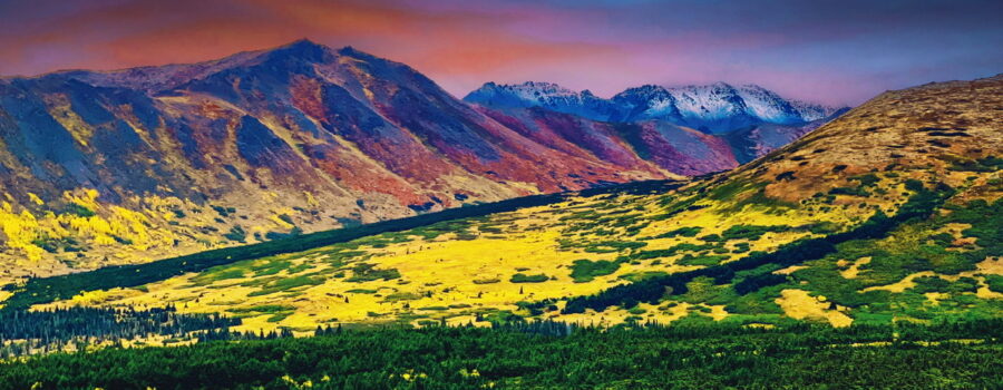 The tundra is covered in various types of lichens that produce many colors on the mountains and hills where they live.