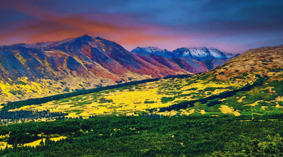 The tundra is covered in various types of lichens that produce many colors on the mountains and hills where they live.