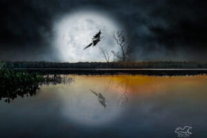 A whimsical image of a witch on a broomstick flying over a lake wished everyone a happy Halloween.