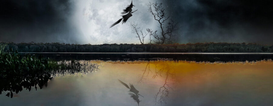 A whimsical image of a witch on a broomstick flying over a lake wished everyone a happy Halloween.