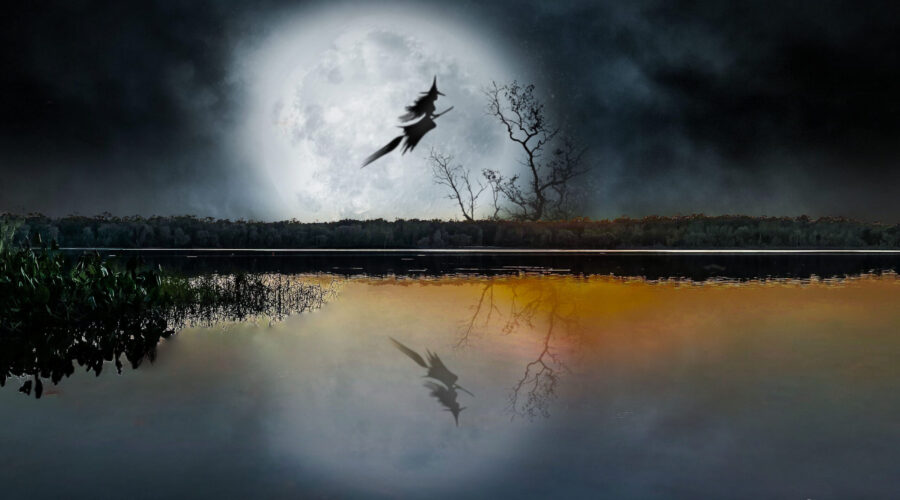 A whimsical image of a witch on a broomstick flying over a lake wished everyone a happy Halloween.