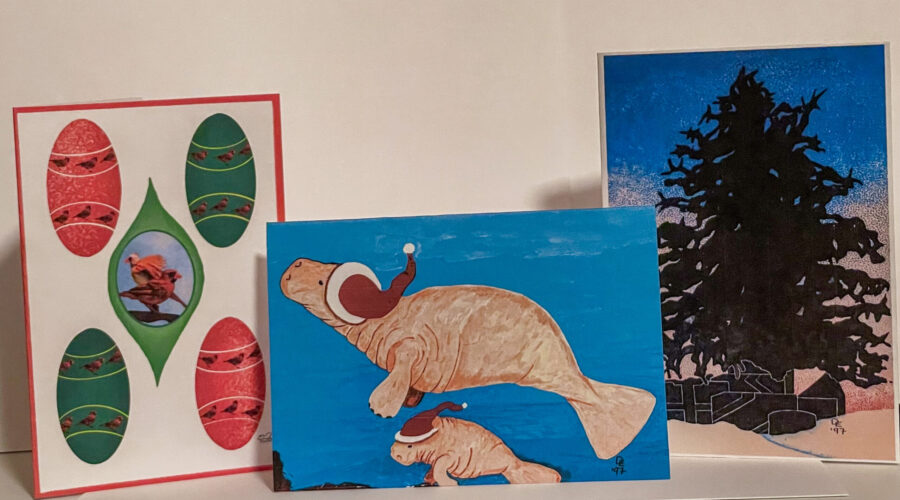 Three beautiful nature themed holiday cards are now available on What Next Photography and Fine Art.