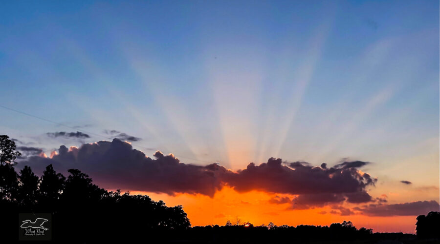 A very colorful sunset with bright sunbeam peaking out from behind the clouds was a treat for the drive home on Tuesday evening.