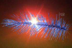 A blue tinted spike of bristlegrass glows in front of a reddish light flare.