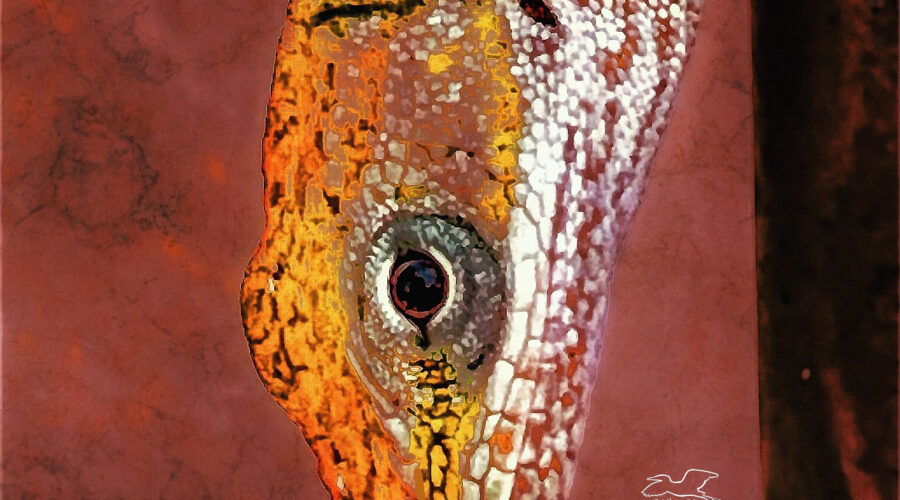 A green anole that was resting on a tree trunk basking in the autumn sun has been processed artistically and finished with hand drawing.
