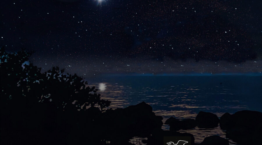 A clear, starry night on the water is a beautiful end to 2023.