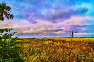 A beautiful image of a tidal marsh in the early evening has been processed to look like a watercolor painting.