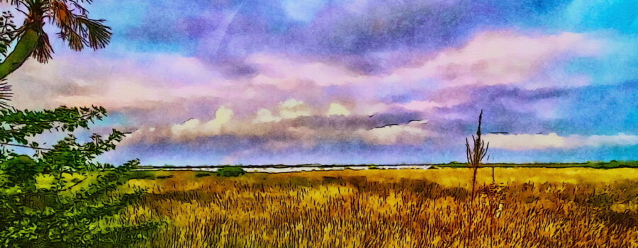 A beautiful image of a tidal marsh in the early evening has been processed to look like a watercolor painting.