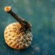 An Acorn Can Make a Great Study of Texture