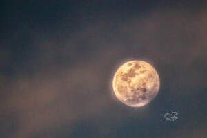 The full moon rises through light clouds in the early evening sky.