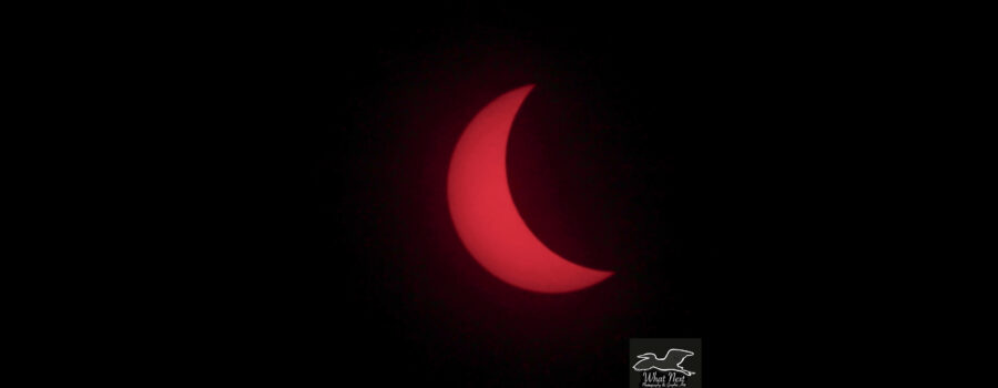 The April 8th solar eclipse at its maximum of 62.9% in the north central Florida area.