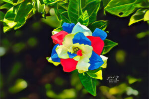 A photo of a gardenia flower has been artistically modified in celebration of Labor Day.