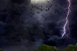 A group of bats fly through a thunderstorm on a spooky Halloween evening.