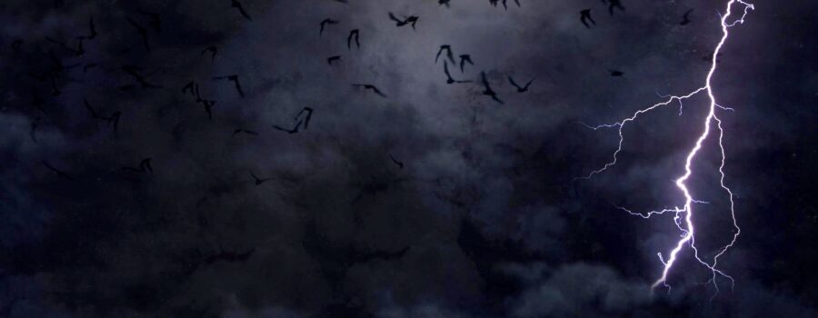 A group of bats fly through a thunderstorm on a spooky Halloween evening.