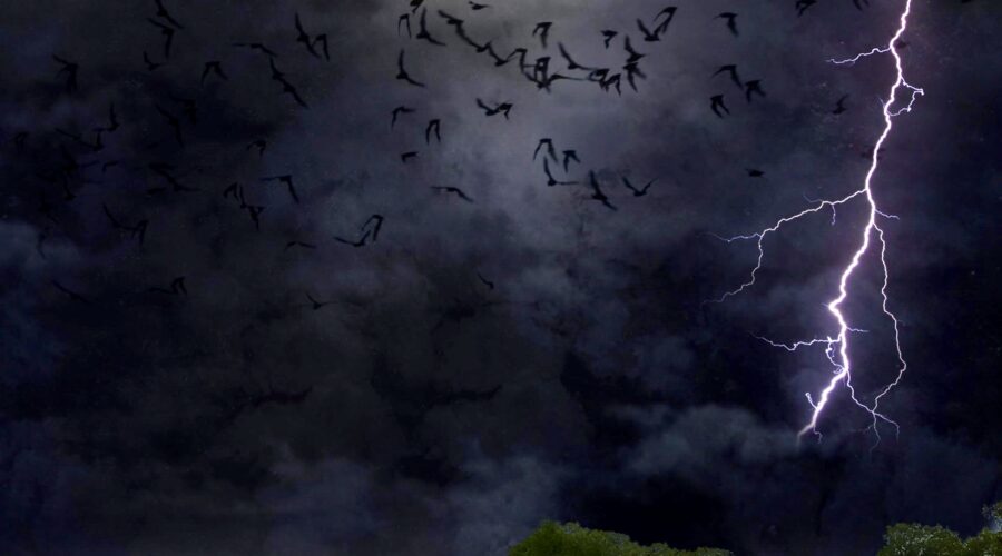 A group of bats fly through a thunderstorm on a spooky Halloween evening.