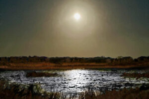 The November Beaver moon shines brightly over the water in a central Florida lake.