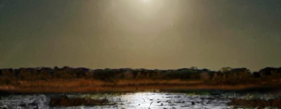 The November Beaver moon shines brightly over the water in a central Florida lake.