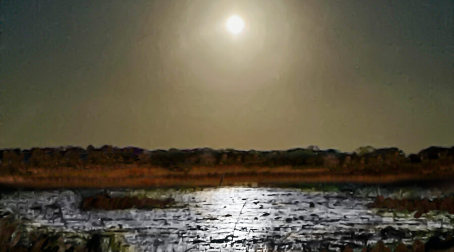 The November Beaver moon shines brightly over the water in a central Florida lake.