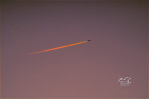 The trail from a large jet airliner lights up an orangish red in the evening sunset, making it look as though the plane is trailing fire.